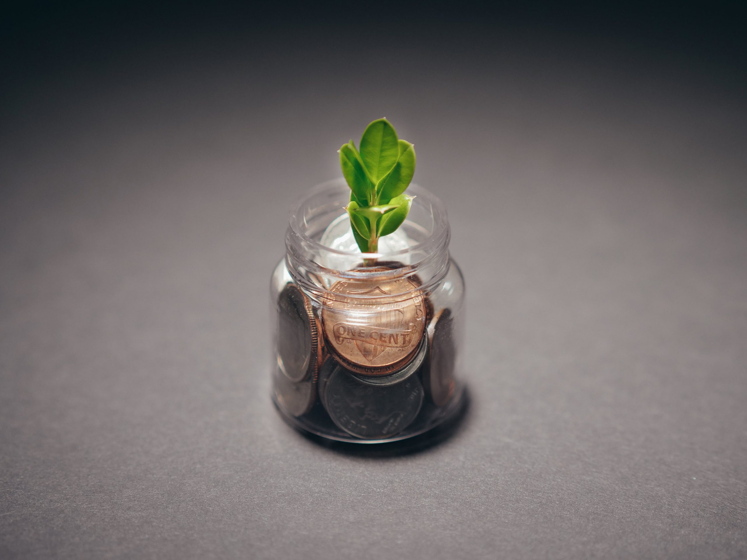 Unternehmensgründungsberatung: Eine junge Pflanze in einem Glas mit Münzen, was Unternehmensgründung und Unternehmensgründungsberatung symbolisiert